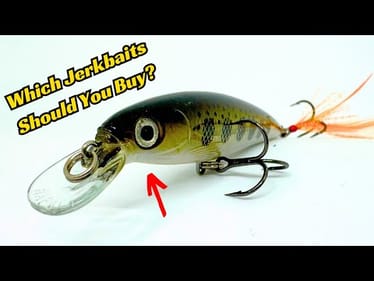 These Jerkbaits Are Special! Have You Tried Them?