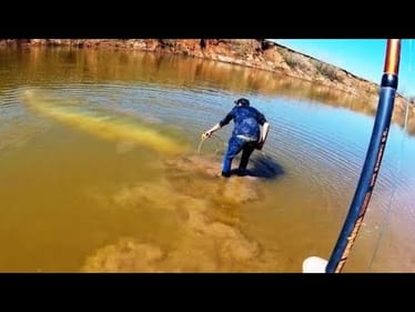 FISH OF 1000 LIFETIMES in a FLOODED CREEK!! (INSANE)