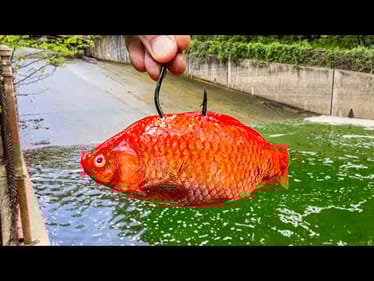 The BIGGEST One I've EVER Seen Lives in this CONCRETE PIT... And it ATE MY BAIT!!! (Monster)