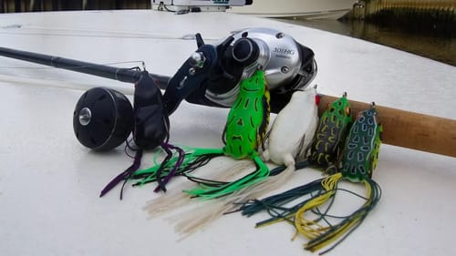 Saltwater FROG Challenge