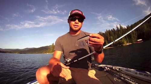Rapala Skitter Walk