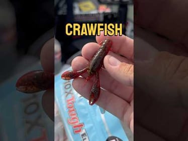 Catching Big Bass On This Tiny Crawfish Bait! #fishing