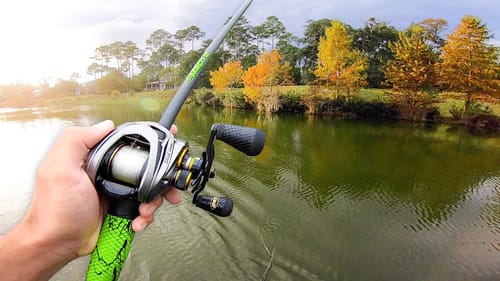 INSANE Day of Bass Fishing (Lake Fishing)
