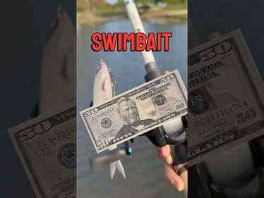 Retrieving a Snagged $50 Swimbait While #fishing