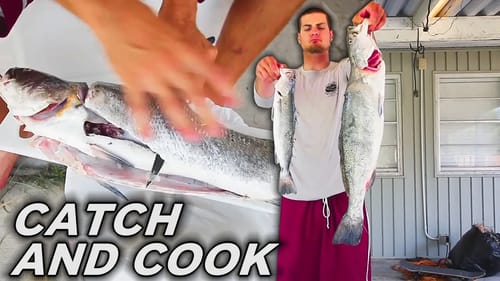 catch and cook GATOR speckled trout