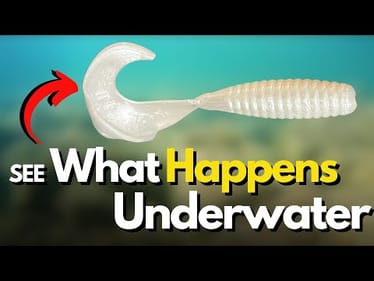 4 WAYS to Rig a Single Tail Grub You MUST Try (Underwater Look)