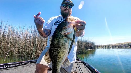 Flipping Weightless Senkos into Shallow Water Tules for Spring Bass | Rigging & Demonstration