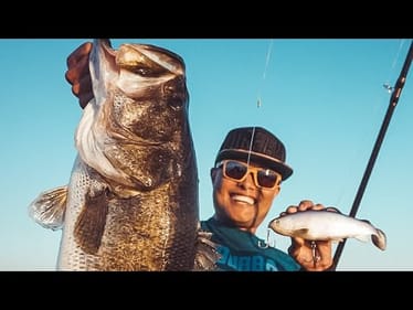 @OliverNgy Cast To Catch Florida Swimbait Bass in His New Boat