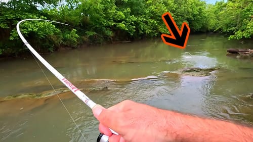 Topwater Creek Fishing plus Behind the Scenes...