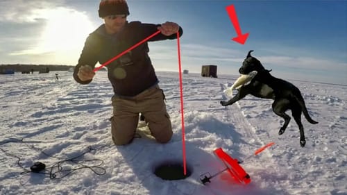 Tip Up Pike And A Walleye Thief! (Dropped My GoPro Down The Hole)