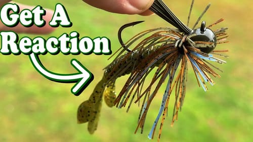 MAKE Bass REACT to a Finesse JIG
