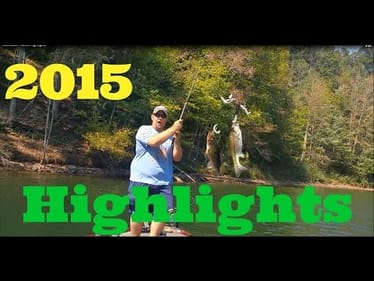 BassGeek Highlights