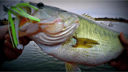 Fishing New Ponds - Liz lost a GIANT!