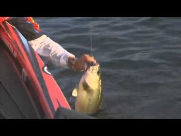 Morizo Shimizu with a feisty Chesapeake Bay bass