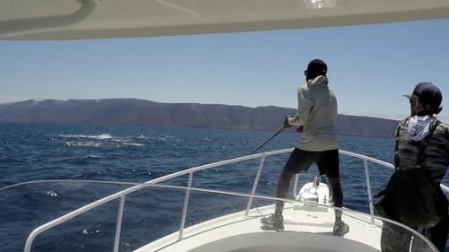 Fishing Bluefin Tuna Foamers Off San Diego! Surface Iron Action!