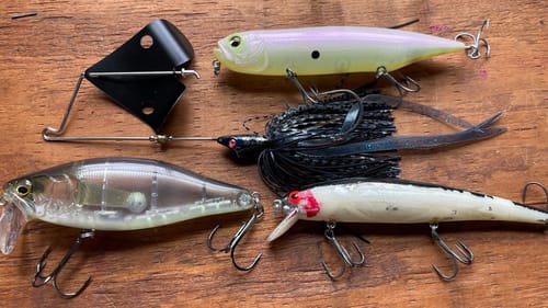 THE Most Overlooked Technique For Catching Big Bass In The Spring