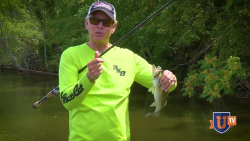 Cast Your CRANKBAIT INTO THE TREES! Squarebill Bass Fishing Secrets