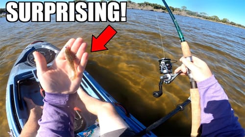 Bass Fisherman TRIES Saltwater Fishing for the FIRST TIME!