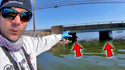 The BASICS of BASS FISHING (You BETTER Know this to CATCH FISH)