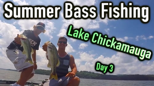 Catching Big Summer Bass Fishing - Lake Chickamauga ~ Day 3/3