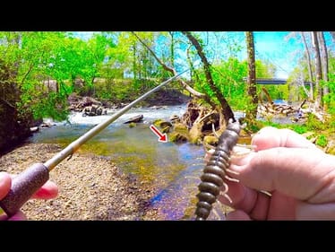 Let Me Show You An Easy Way To Catch Loads Of Fish In Your Local Creek!