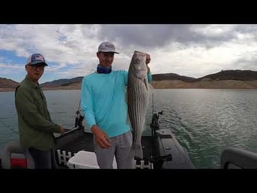 Last So-Cal Vid (For a While)