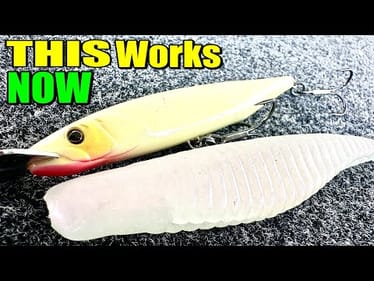 The TOP NEW Baits for BIG Bass During Shad and Herring Spawns Revealed