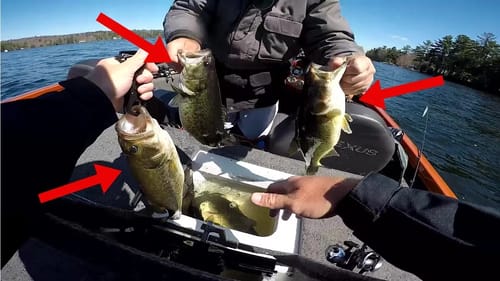 Winning Money in My First Bass Tournament! Maine BASS Nation Open