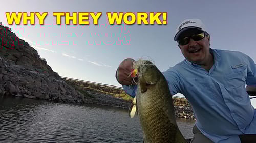 Why Do Bass Strike Spinnerbaits? | Bass Fishing