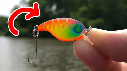 SURPRISE Catch with MICRO Squarebill!!! (I Couldn't Believe it!)