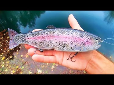 Going to a GIANT BASS LAKE RIGHT AFTER THEY STOCKED TROUT!!