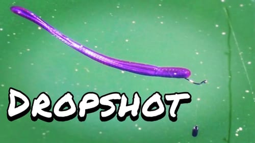 How to Catch Bass with a Dropshot | My Go To Technique to Fish Year-Round