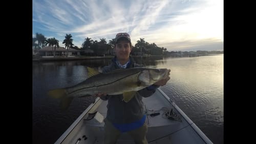 Topwater snook and jack