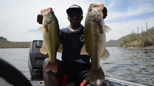 Fishing Deep Diving Crankbaits For Big Bass