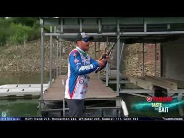 Taste the Bait: Wheeler vs Lake Travis wolfpacks