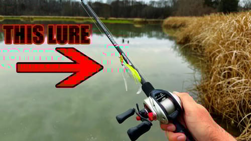 Bank Hopping for HUNGRY Fish!!