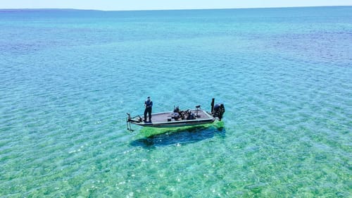 Crystal Clear Water - Bass Fishing Paradise!