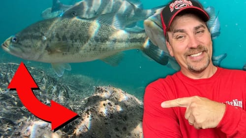 Don't Miss Fall Bass Fishing's Hidden Hot Spot - Literally