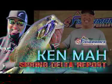KEN MAH - SPRING DELTA LARGEMOUTH BASS REPORT - FISHERMANS WAREHOUSE