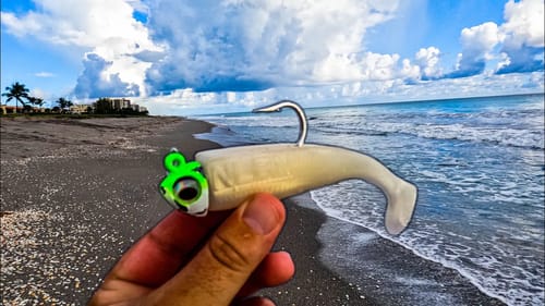 Throwing BIG Swimbaits in the Surf To Catch a STUD!