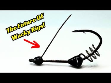 The Future Of Wacky Rigs! Things Are Changing!