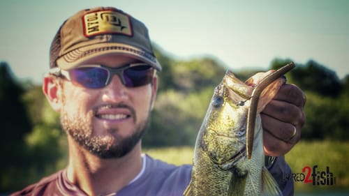 Wacky Worming With a Jig: A Beginner's Guide