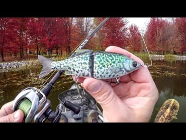 Fall Fishing A Crappie Glide Bait! 