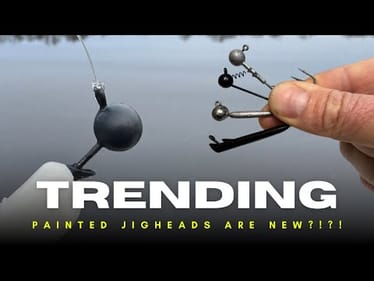 The Fishing Worlds Hottest New Trend Is Painted Jigheads!?!?! Give Me A Break! 