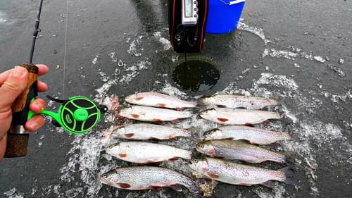 BEST Day Trout Fishing EVER!!! 2 Limits in 1 Spot!
