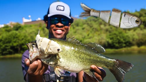 Fishing BIG Swimbaits  For BIG BASS (GREATEST FISH CATCH OF THE YEAR!)