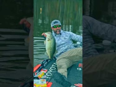 GIANT BASS on a Free Rig?!