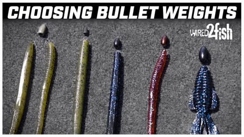 Why Use Color-Matched Tungsten Bullet Weights Over Lead