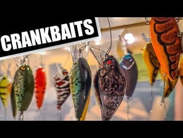 I Painted 50 Different Crankbaits (My Setup and Gear)