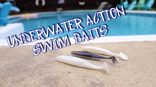 UNDERWATER ACTION: SOFT PLASTIC SWIMBAITS!!!